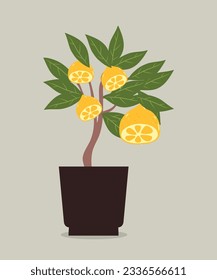 Flat Design Illustration with Lemon Tree Pot