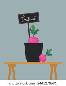 Flat Design Illustration with Plant at Beetroot on Table