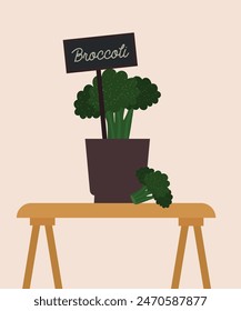 Flat Design Illustration with Pot at Broccoli on Table