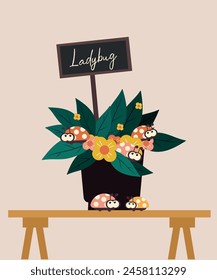 Flat Design Illustration with Pot at Ladybug on Table