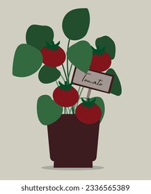  Flat Design Illustration with Red Tomato Pot