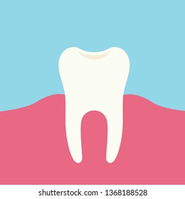 Flat design illustration of tooth and pink gums - vector