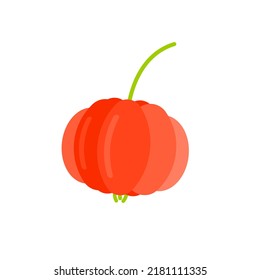 Flat design illustration of tropical cherry fruit isolated on white background.
