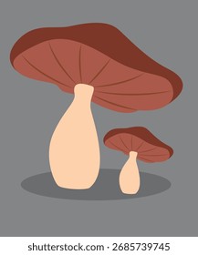 Ilustração de design plano com dois cogumelos