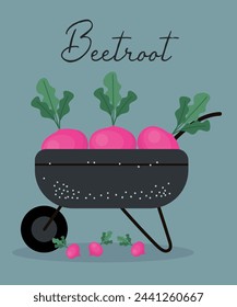 Flat Design Illustration with Wheel Barrow at Beetroot