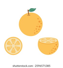 Flat design illustration of whole and sliced orange. Minimalist flat design illustration of an orange fruit, featuring a whole orange, a half-cut orange, and a round slice on a white background