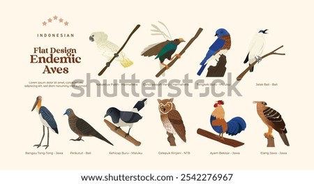 Flat design Isolated Indonesian endemic aves birds illustration