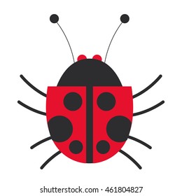 flat design lady bug icon vector illustration