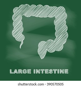 Flat Design large intestine icon on blackboard,Vector Illustration