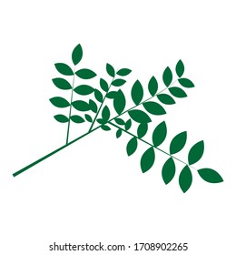 Flat Design Leaves with branches.