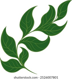 Folhas de Design Plano com vetor de ramificações