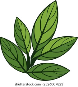 Flat Design Leaves with branches vector