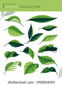 flat design leaves design collection