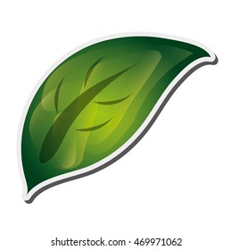 flat design leaves nature icon vector illustration