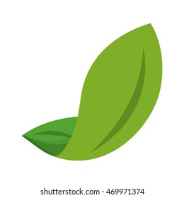 flat design leaves nature icon vector illustration