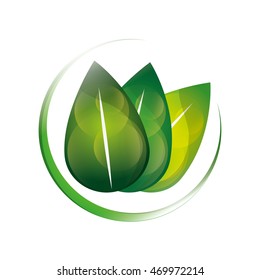 flat design leaves nature icon vector illustration