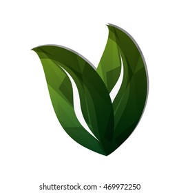 flat design leaves nature icon vector illustration