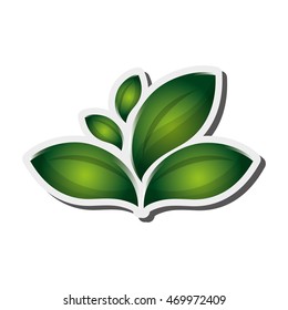 flat design leaves nature icon vector illustration