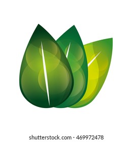 flat design leaves nature icon vector illustration