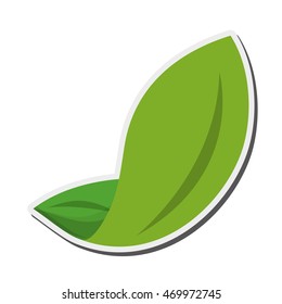 flat design leaves nature icon vector illustration