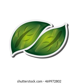 flat design leaves nature icon vector illustration