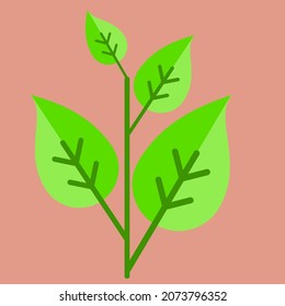flat design Leaves vector isolated background.Elements for eco and bio logos.