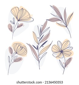 flat design linear leaves flowers set vector