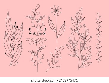 Flat design of linear leaves and flowers