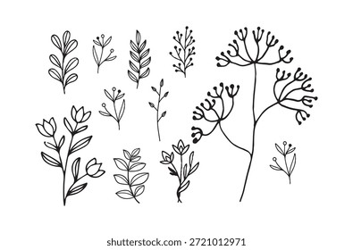 Projeto plano de folhas lineares e flores. Objetos botânicos. Plantas de botânica linear. Ramo de oliveira vetorial com folhas e frutos.