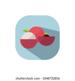 Flat design litchi
