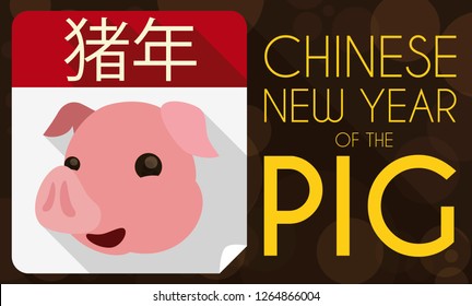 Flat design with long shadow presenting a loose-leaf calendar with cute piglet face, promoting the Chinese New Year of the Pig (written in Chinese calligraphy).