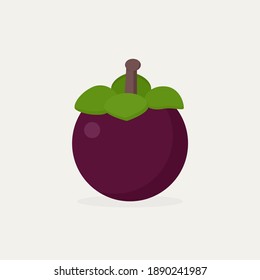 Flat design mangosteen vector graphics