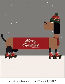 Flat Design Merry Christmas illustration with a Dachshund Dog Wearing a Merry Christmas Sweater and Hat, Roller Skates , Scarf