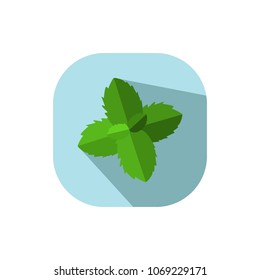 Flat design mint
