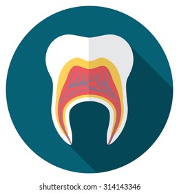 Flat design modern vector illustration of tooth icon with long shadow, isolated.