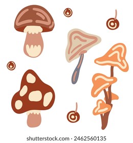 Flat design mushroom forest berries set