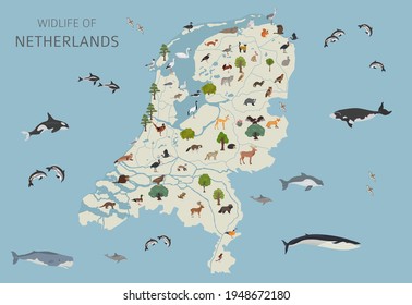 Flat design of Netherlands wildlife. Animals, birds and plants constructor elements isolated on white set. Build your own geography infographics collection. Vector illustration
