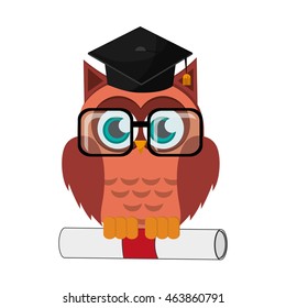 flat design owl cartoon with graduation cap and diploma icon vector illustration