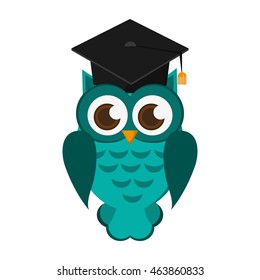 flat design owl cartoon with graduation cap icon vector illustration