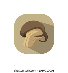 Flat design oyster mushroom