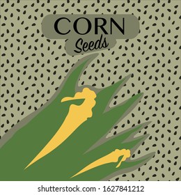 Flat design packaging for seeds of vegetables in vector with copy space. Corn seeds