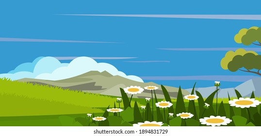 Flat design, panorama of beautiful nature green grasslands meadow with flowers, blue sky with clouds on horizon background. Vector summer or spring landscape.