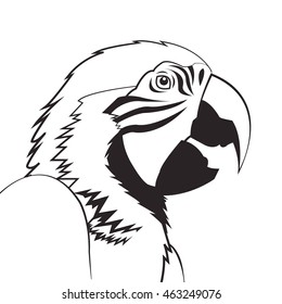 flat design parrot drawing icon vector illustration