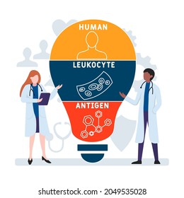 Diseño plano con gente. HLA - Acrónimo de Antígeno Leucocito Humano. antecedentes de concepto médico. Ilustración vectorial para banner de sitio web, materiales de marketing, presentación comercial, publicidad en línea