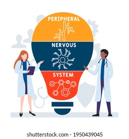 Diseño plano con gente. PNS - Acrónimo del Sistema Nervioso Periférico, trasfondo del concepto de negocio.   Ilustración vectorial para banner de sitio web, materiales de marketing, presentación de negocios, publicidad en línea.