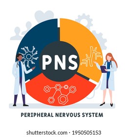 Flat design with people. PNS - Peripheral Nervous System acronym, business concept background.   Vector illustration for website banner, marketing materials, business presentation, online advertising.