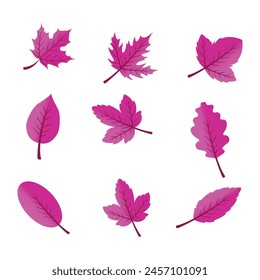 Flat design pink leaves pack on white background.