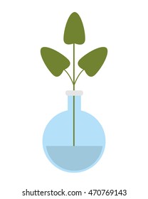 flat design plant in flask icon vector illustration