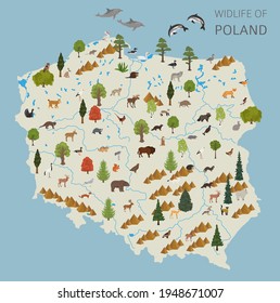 Flat design of Poland wildlife. Animals, birds and plants constructor elements isolated on white set. Build your own geography infographics collection. Vector illustration