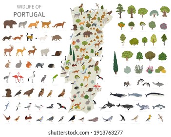 Diseño plano de la fauna portuguesa. Animales, aves y elementos constructores de plantas aislados en conjunto blanco. Construya su propia colección de infografías geográficas. Ilustración del vector